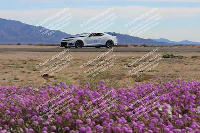 media/Jan-08-2023-SCCA SD (Sun) [[8f6a5b9391]]/Advanced Group/Session 2 (Short Straight)/